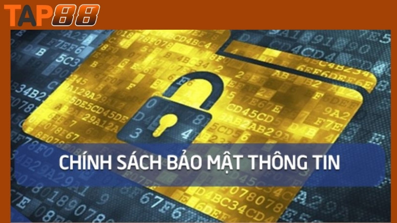 Nội dung của chính sách bảo mật Tap88